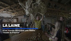 Ces Varois relance une filière de la laine "made in France"