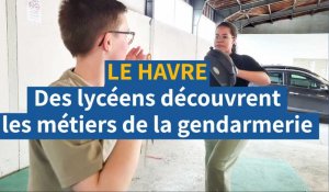 Des lycéens essaient l'entraînement physique des gendarmes du Havre