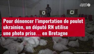 VIDÉO. Pour dénoncer l’importation de poulet ukrainien, le RN utilise une photo prise en Bretagne