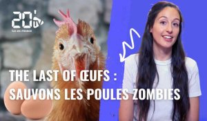 The Last of Oeufs : des poules zombies derrière certains codes
