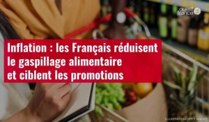 VIDÉO. Inflation : les Français réduisent le gaspillage alimentaire et ciblent les promotions