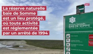Une nouvelle réglementation à l'étude pour la réserve naturelle baie de Somme