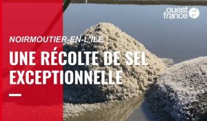 VIDEO. Une récolte de sel 2022 exceptionnelle sur l'île de Noirmoutier