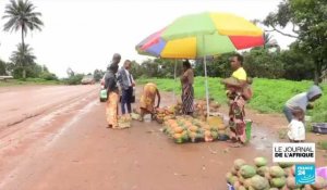 Guinée : la production agricole menacée à cause de la raréfaction des engrais