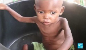 Famine en Somalie : Emmanuel Macron annonce financer le transport du blé ukrainien