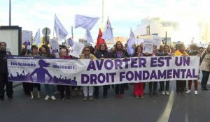 Manifestation à Paris: "Avorter est un droit fondamental"