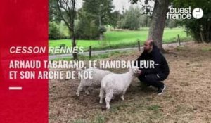 VIDÉO. Le handballeur de Cesson Rennes Arnaud Tabarand présente son arche de Noé