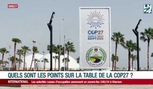Quels sont les points sur la table de la COP 27 ? 