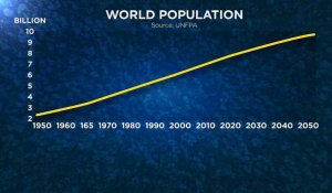 Le 15 novembre, nous serons plus de 8 milliards d'habitants sur la terre