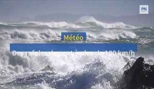 Météo : des rafales de vent à plus de 100 km/h attendues en Normandie