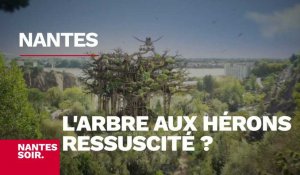 Le JT du 22 novembre : la renaissance de l'Arbre aux Hérons et le procès aux Assises d'un Nantais