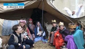 VIDÉO. Des animaux pour la crèche de Noël de La Flèche 