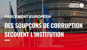 VIDÉO. Les soupçons de corruption sur l'ex vice-présidente Eva Kaili secouent le Parlement européen