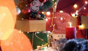 Entre sapins, guirlandes et chocolats, Noël est risqué pour nos animaux