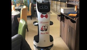 VIDÉO. Dans ce restaurant de Saint-Malo, un robot apporte les boissons aux clients