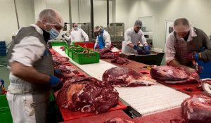 Comment se porte l'élevage de viande en Wallonie ?