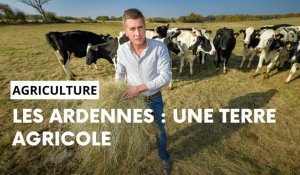 Ardennes: les chiffres clés de l'agriculture