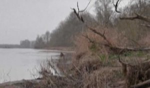  Sécheresse : les images désolantes de la Loire à sec 