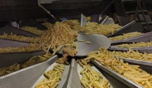 La frite, bientôt un luxe ? 