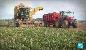 France : le gouvernement au chevet de l'industrie agroalimentaire