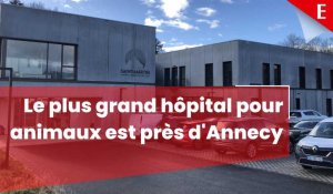 Le plus grand hôpital pour animaux de France a ouvert près d'Annecy