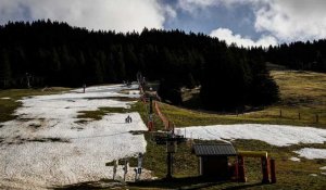 Manque de neige : l'or blanc fait aussi défaut aux écosystèmes locaux