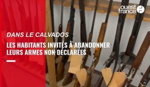 VIDÉO. Dans le Calvados, les habitants invités à abandonner leurs armes non déclarées