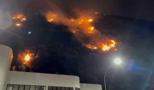 Brésil: un incendie brûle sur une colline de Copacabana à Rio