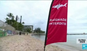 En Nouvelle-Calédonie, la campagne d'abattage des requins fait débat