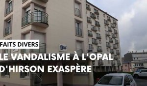 Janine, 84 ans fatiguée par le vandalisme dans sa résidence à l´Opal Léon Blum d´Hirson