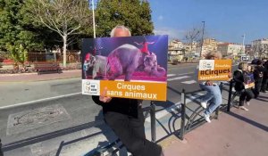 Cannes: Manifestation contre le Cirque Muller Zavatta