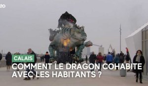 Insolite : à Calais, de drôles de règles pour cohabiter avec le dragon