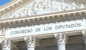 VIDÉO. Le parlement espagnol accorde deux droits très peu reconnus dans le monde
