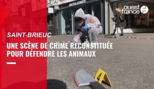 VIDÉO. À Saint-Brieuc, une reconstitution pour sensibiliser aux animaux tués dans les abattoirs