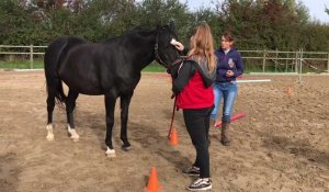 Equicoaching avec Pôle emploi Béthune