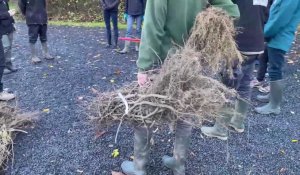 Le conservatoire botanique de Bailleul donne ses conseils avant la plantation de haies.