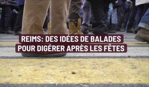 Reims : Des idées de balades pour digérer après les fêtes