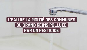 L'eau de la moitié des communes du Grand Reims polluée par un pesticide
