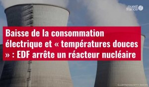 VIDÉO. Baisse de la consommation électrique et « températures douces » : EDF arrête un réacteur nucléaire