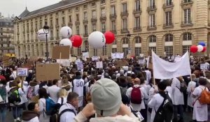 En grève, de nombreux médecins de la région manifestent à Paris