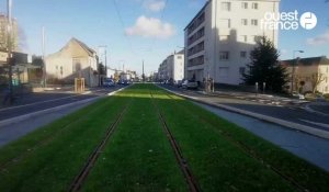 VIDÉO. Les travaux du tramway sur l'avenue Patton à Angers seront terminés au premier semestre 2023