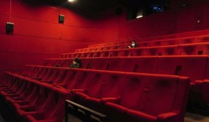 Une bonne "année de transition" pour les cinémas français et à chaque salle sa stratégie