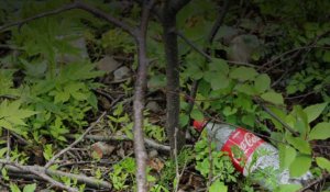 Coca-Cola, sponsor de la COP27 et « champion du monde » de la pollution plastique