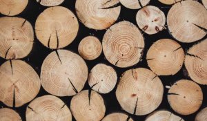La saison des ventes communales de bois de chauffage bat son plein