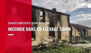 VIDÉO. Incendie dans un élevage canin à Saint-Vincent-sur-Graon