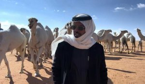 Arabie : entre dromadaires et éleveurs, un langage inscrit au patrimoine de l'humanité