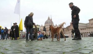 Rome : bénédiction pour les animaux à l'occasion de la Saint Antoine