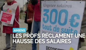 Académie d’Amiens : les profs devant le rectorat