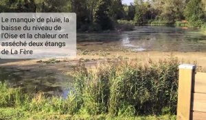 Après la sécheresse, les étangs de La Fère sont à nouveau en eau