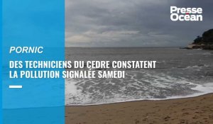 VIDEO. Microbilles de plastique : des techniciens du Cedre de Brest inspectent les plages de Pornic